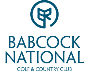 BabcockNational Logo300