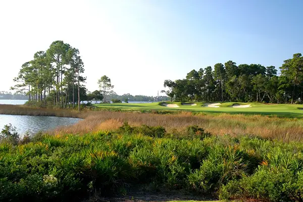 Shark’s Tooth Golf Course